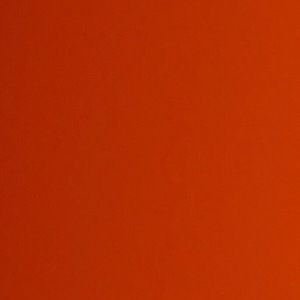 Meet your Posher, Jake paul fan